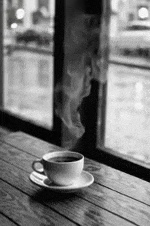 Kaffelageret.no https://www.linkedin.com/company/kaffelageret